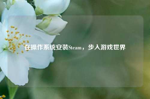 在操作系统安装Steam，步入游戏世界