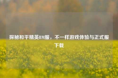 探秘和平精英BM服,不一样游戏体验与正式服下载