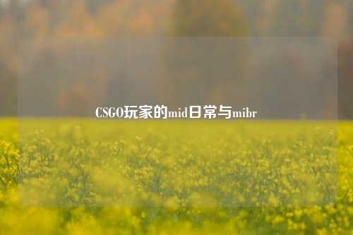 CSGO玩家的mid日常与mibr
