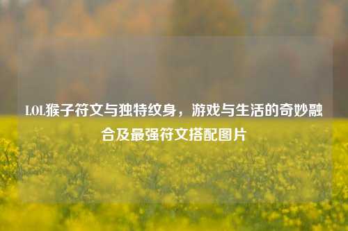 LOL猴子符文与独特纹身，游戏与生活的奇妙融合及最强符文搭配图片