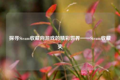 探寻Steam收藏向游戏的精彩世界——Steam收藏夹