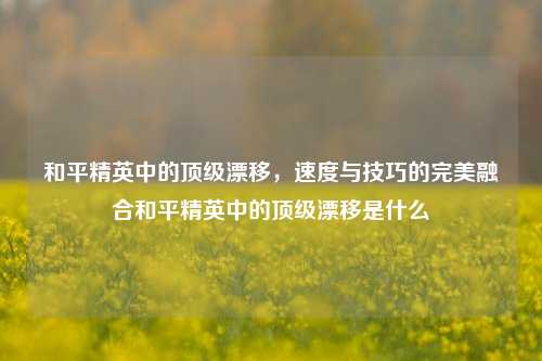 和平精英中的顶级漂移,速度与技巧的完美融合和平精英中的顶级漂移是什么