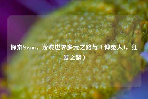 探索Steam,游戏世界多元之路与〈伸冤人4,狂暴之路〉