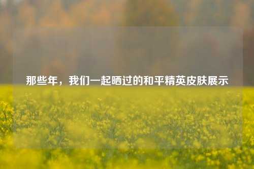 那些年,我们一起晒过的和平精英皮肤展示