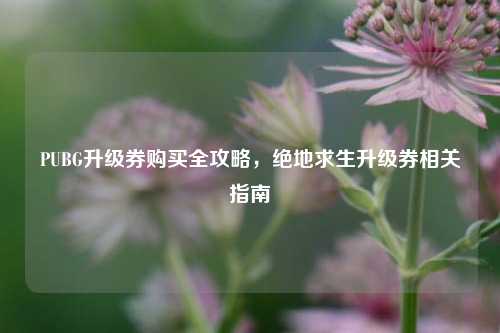 PUBG升级券购买全攻略，绝地求生升级券相关指南