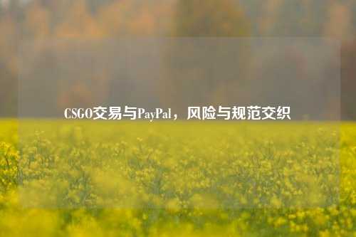 CSGO交易与PayPal,风险与规范交织