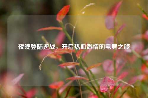 夜晚登陆逆战，开启热血激情的电竞之旅