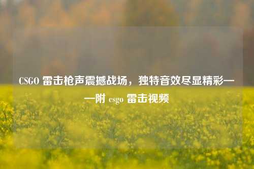 CSGO 雷击枪声震撼战场,独特音效尽显精彩——附 csgo 雷击视频