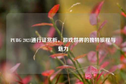 PUBG 2021通行证赏析,游戏世界的独特旅程与魅力