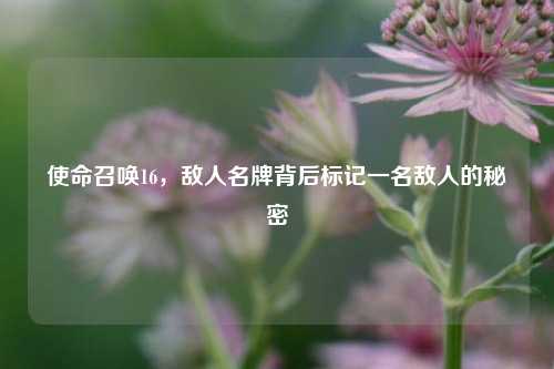 使命召唤16,敌人名牌背后标记一名敌人的秘密