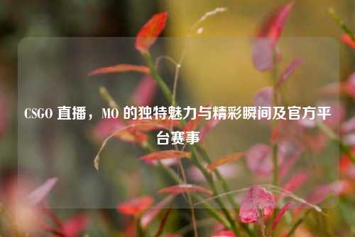 CSGO 直播,MO 的独特魅力与精彩瞬间及官方平台赛事