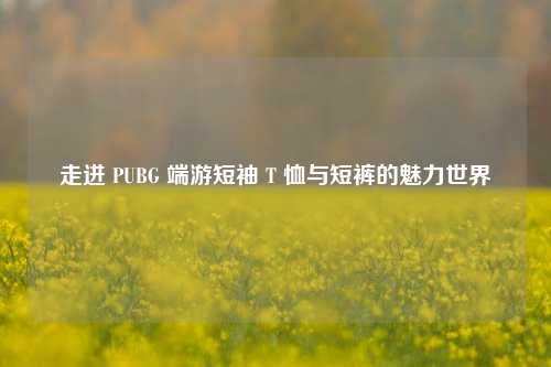 走进 PUBG 端游短袖 T 恤与短裤的魅力世界
