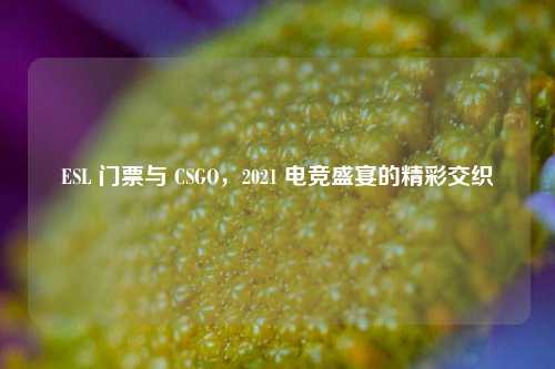 ESL 门票与 CSGO，2021 电竞盛宴的精彩交织