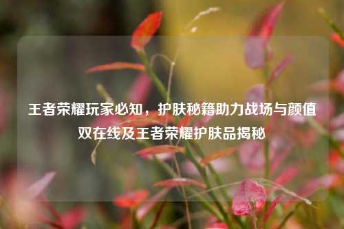 王者荣耀玩家必知,护肤秘籍助力战场与颜值双在线及王者荣耀护肤品揭秘