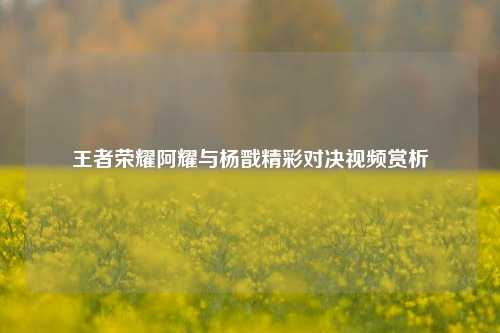 王者荣耀阿耀与杨戬精彩对决视频赏析