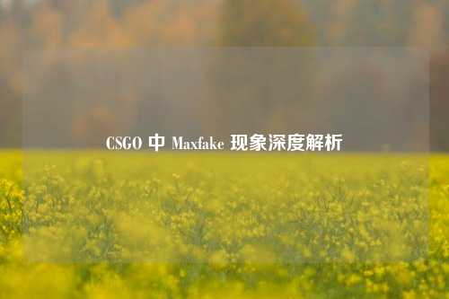 CSGO 中 Maxfake 现象深度解析