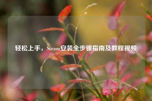 轻松上手,Steam安装全步骤指南及教程视频