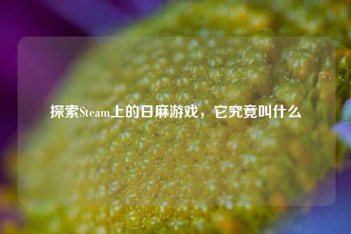 探索Steam上的日麻游戏,它究竟叫什么
