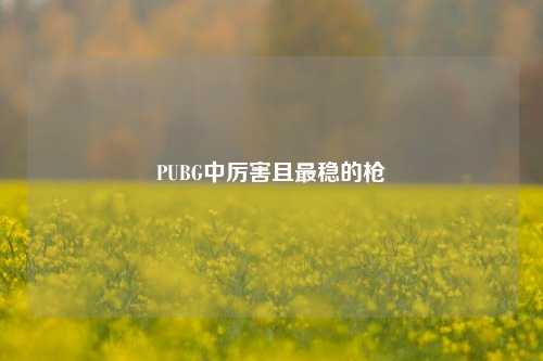 PUBG中厉害且最稳的枪