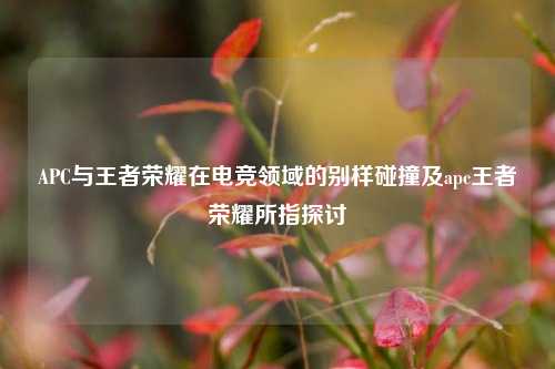 APC与王者荣耀在电竞领域的别样碰撞及apc王者荣耀所指探讨