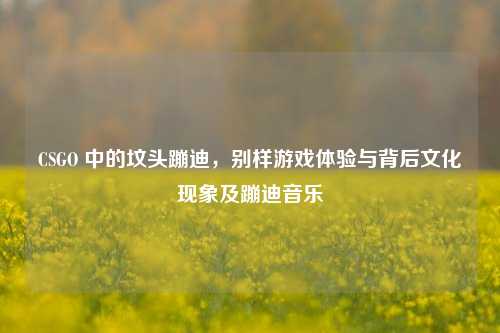 CSGO 中的坟头蹦迪,别样游戏体验与背后文化现象及蹦迪音乐