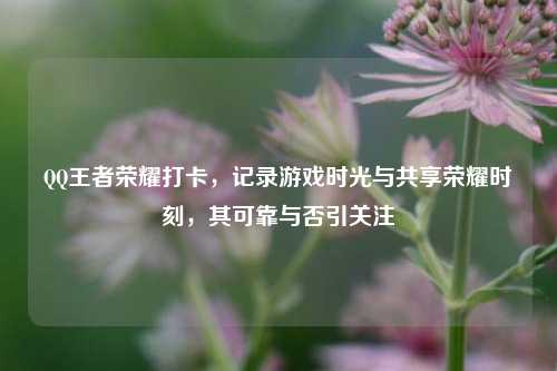QQ王者荣耀打卡,记录游戏时光与共享荣耀时刻,其可靠与否引关注