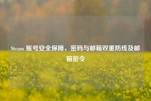 Steam 账号安全保障,密码与邮箱双重防线及邮箱密令