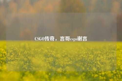 CSGO传奇,言哥csgo谢言