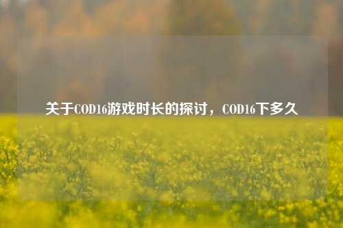 关于COD16游戏时长的探讨,COD16下多久