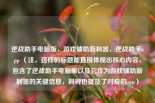 逆战助手电脑版,游戏辅助新利器,逆战助手app (注,这样的标题能直接体现出核心内容,包含了逆战助手电脑版以及它作为游戏辅助新利器的关键信息,同时也提及了对应的app)