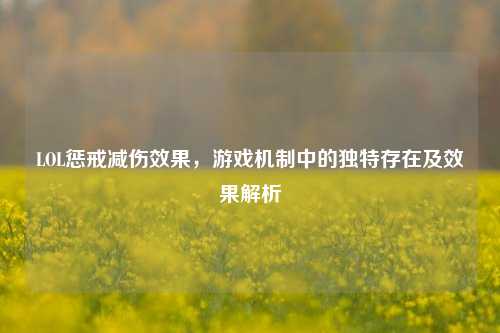 LOL惩戒减伤效果,游戏机制中的独特存在及效果解析