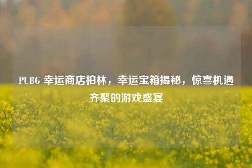 PUBG 幸运商店柏林,幸运宝箱揭秘,惊喜机遇齐聚的游戏盛宴