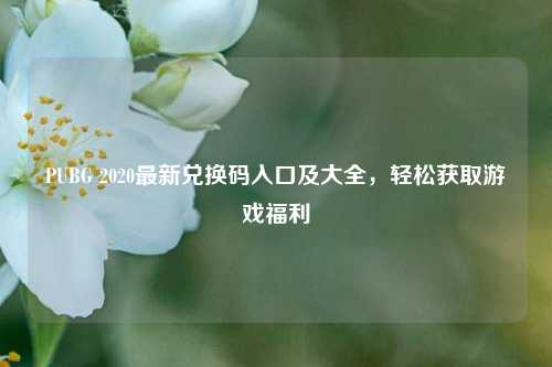 PUBG 2020最新兑换码入口及大全，轻松获取游戏福利