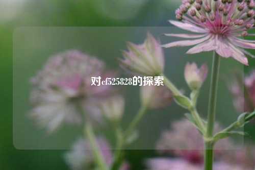 对cf525828的探索