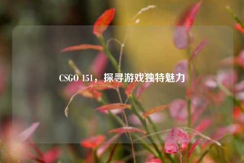 CSGO 151，探寻游戏独特魅力