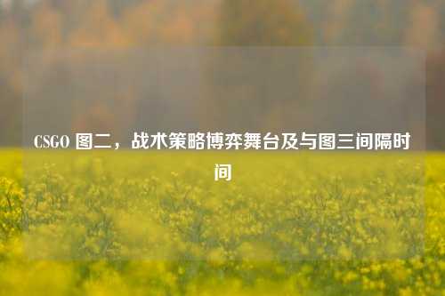 CSGO 图二,战术策略博弈舞台及与图三间隔时间