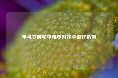 手机安装和平精英游戏全流程指南