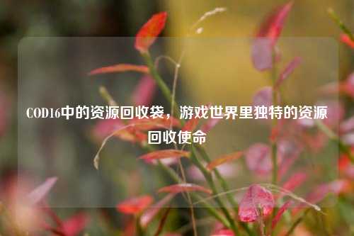 COD16中的资源回收袋,游戏世界里独特的资源回收使命