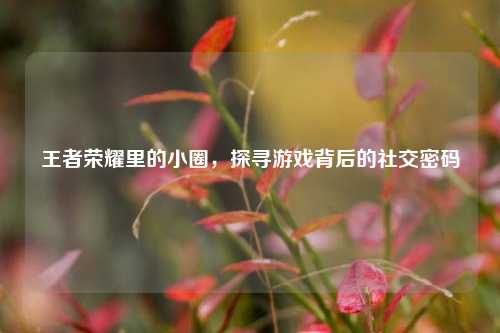 王者荣耀里的小圈,探寻游戏背后的社交密码