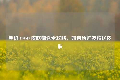 手机 CSGO 皮肤赠送全攻略,如何给好友赠送皮肤