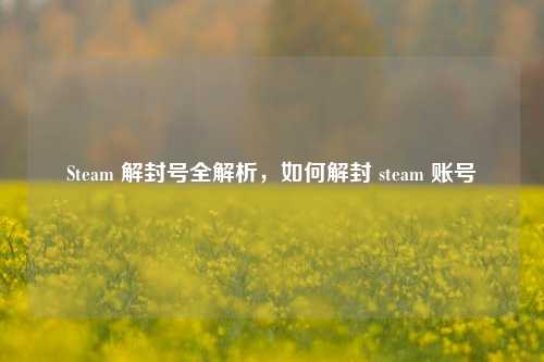 Steam 解封号全解析,如何解封 steam 账号