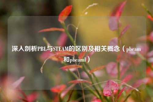 深入剖析PBL与STEAM的区别及相关概念（pbeam和pbeaml）