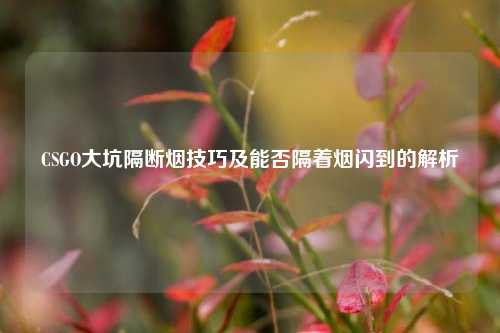 CSGO大坑隔断烟技巧及能否隔着烟闪到的解析