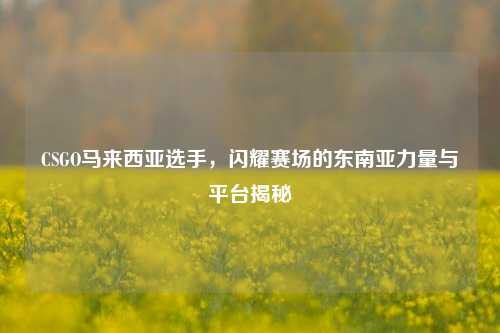 CSGO马来西亚选手,闪耀赛场的东南亚力量与平台揭秘