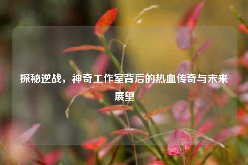 探秘逆战,神奇工作室背后的热血传奇与未来展望