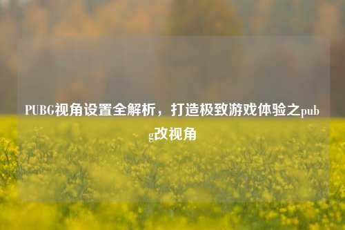 PUBG视角设置全解析,打造极致游戏体验之pubg改视角