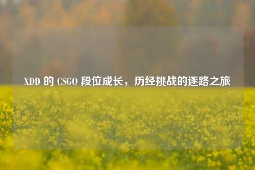 XDD 的 CSGO 段位成长,历经挑战的逐路之旅