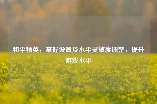 和平精英,掌握设置及水平灵敏度调整,提升游戏水平