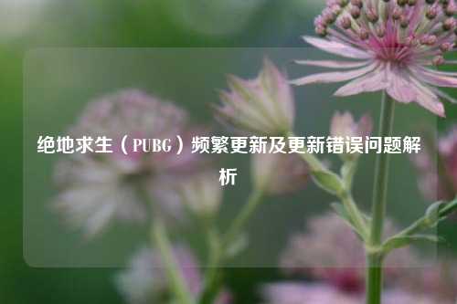 绝地求生（PUBG）频繁更新及更新错误问题解析