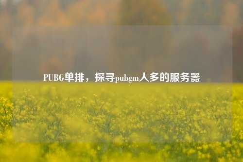 PUBG单排,探寻pubgm人多的服务器